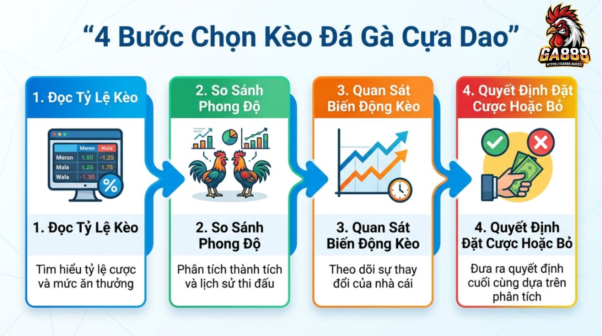 4 Bước Chọn Kèo Đá Gà Cựa Dao