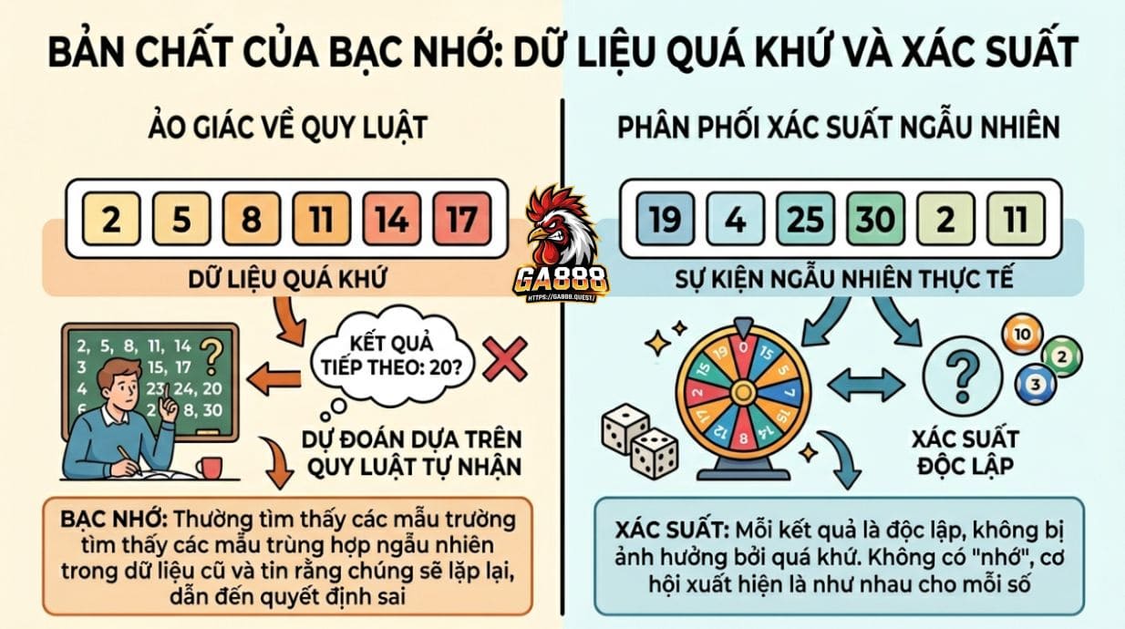 Bản Chất Của Bạc Nhớ: Dữ Liệu Quá Khứ Và Xác Suất
