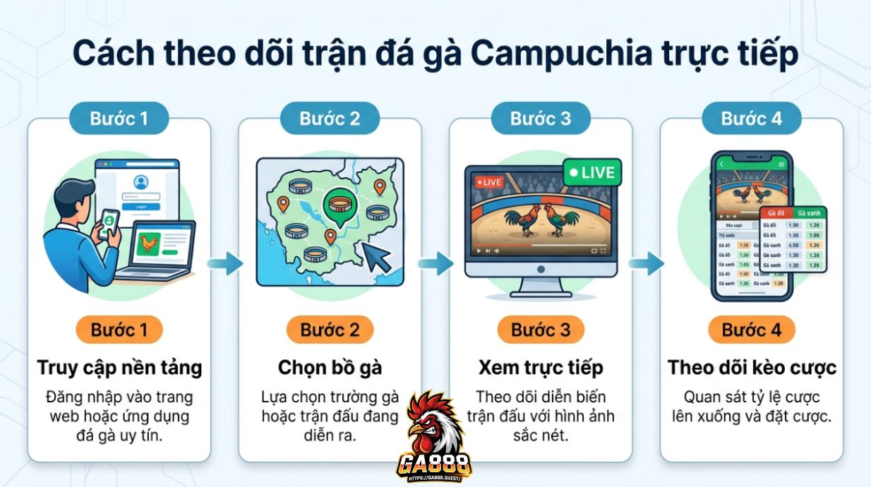 Cách theo dõi trận đá gà Campuchia trực tiếp