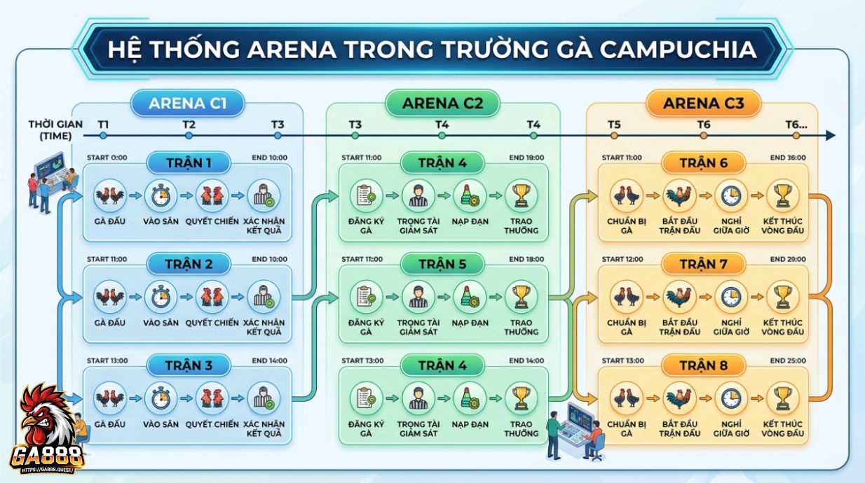 Hệ thống Arena trong trường gà Campuchia