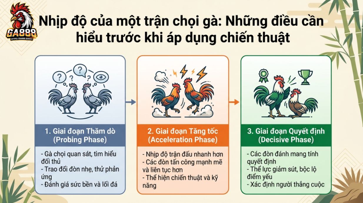 Nhịp trận đá gà: điều cần hiểu trước khi áp dụng chiến thuật