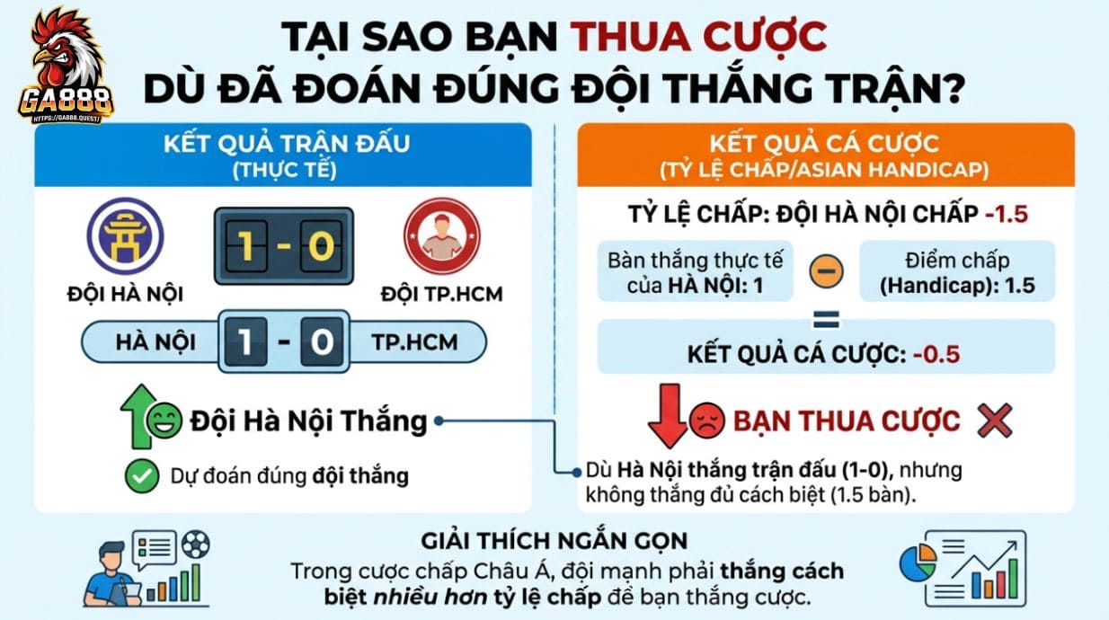 Vì sao bạn thua kèo dù đoán đúng trận