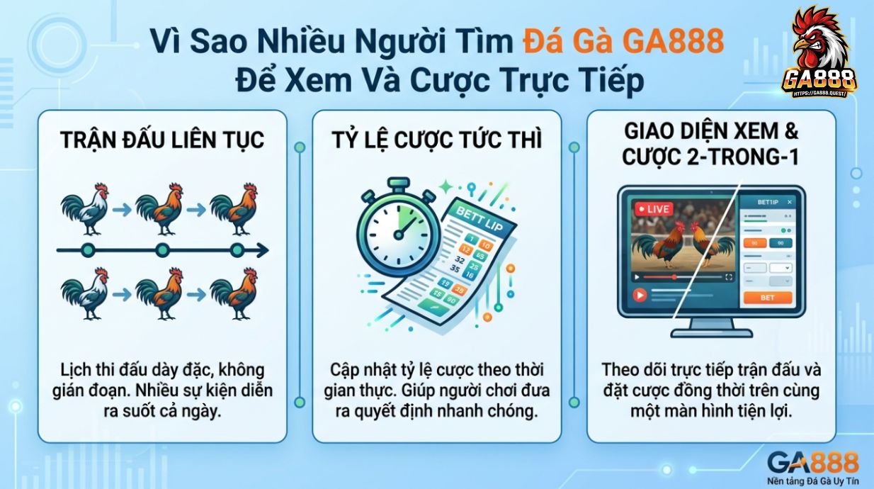 Vì Sao Nhiều Người Tìm Đá Gà GA888 Để Xem Và Cược Trực Tiếp
