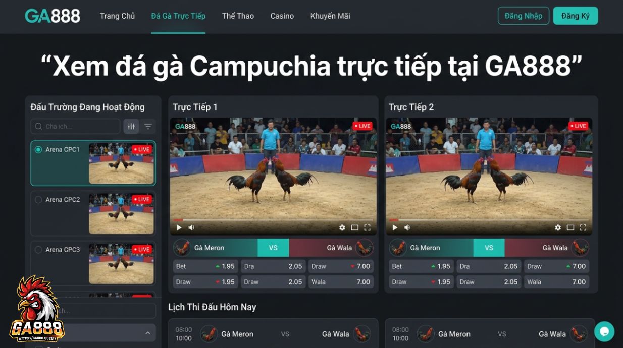 Xem đá gà Campuchia trực tiếp tại GA888