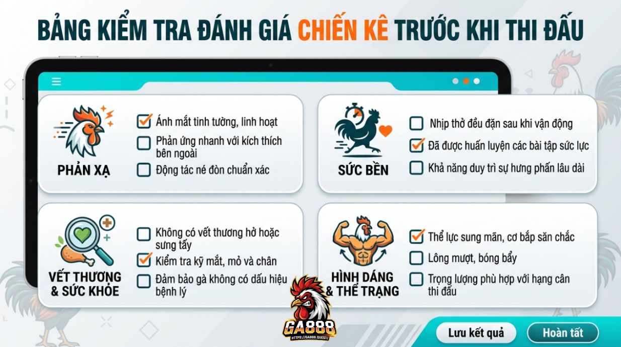 Checklist Đánh Giá Gà Trước Khi Đưa Ra Trận