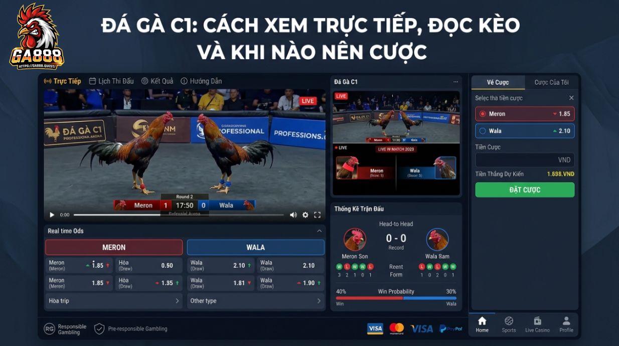 Đá Gà C1: Cách Xem Trực Tiếp, Đọc Kèo Và Khi Nào Nên Cược