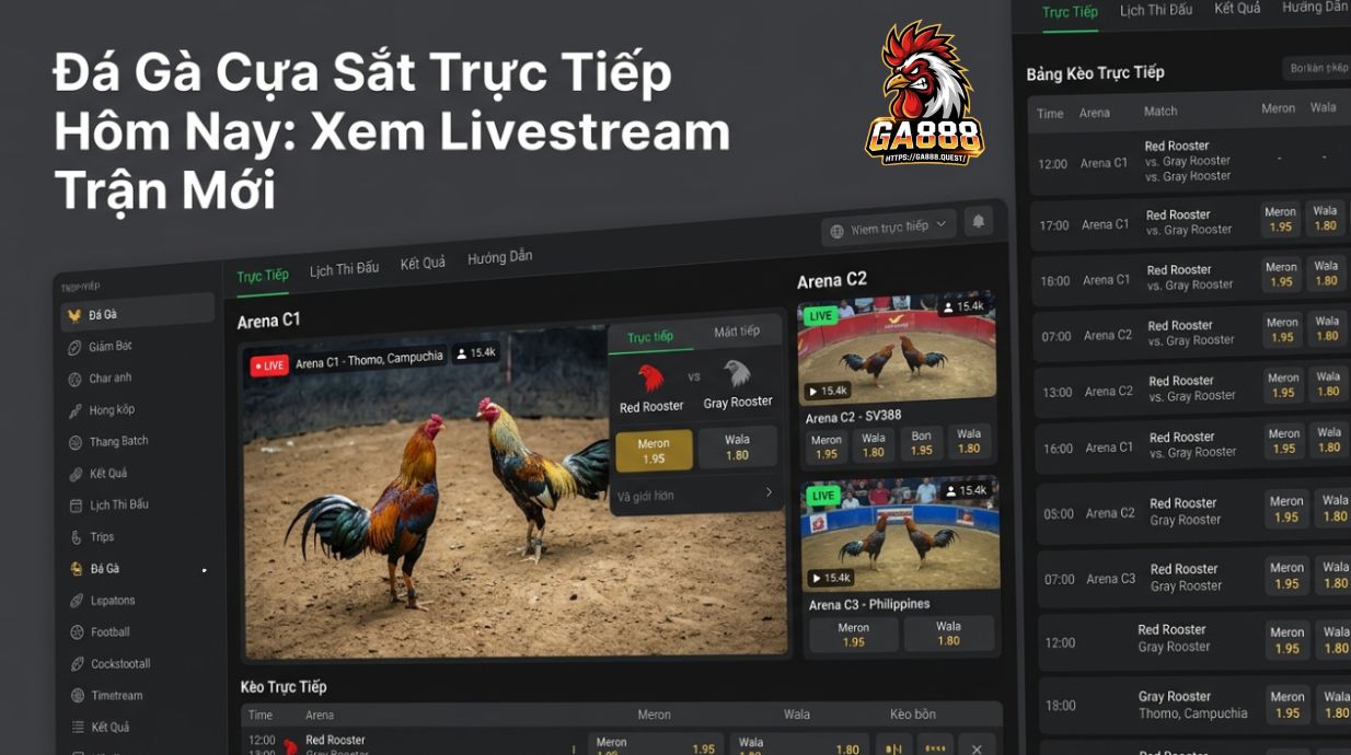Đá Gà Cựa Sắt Trực Tiếp Hôm Nay: Xem Livestream Trận Mới